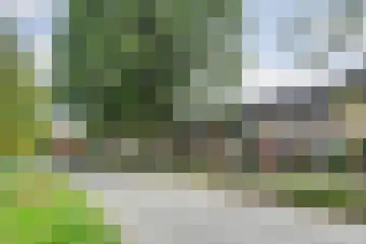 Hertogshoef 118 Raamsdonksveer thumbnail 28