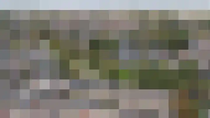 Hertogshoef 118 Raamsdonksveer thumbnail 30