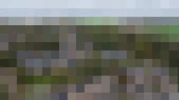 Hertogshoef 118 Raamsdonksveer thumbnail 31