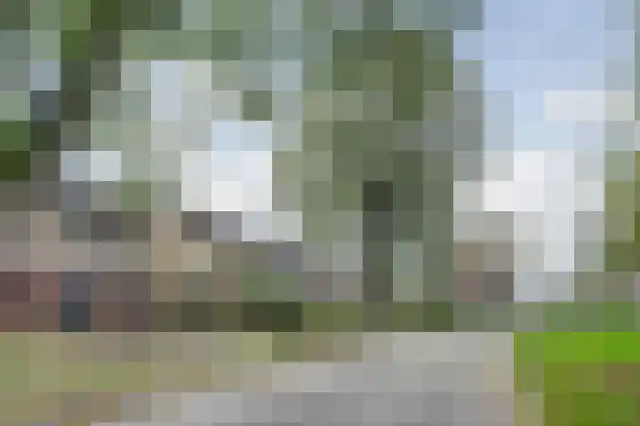 Hertogshoef 118 Raamsdonksveer thumbnail 33