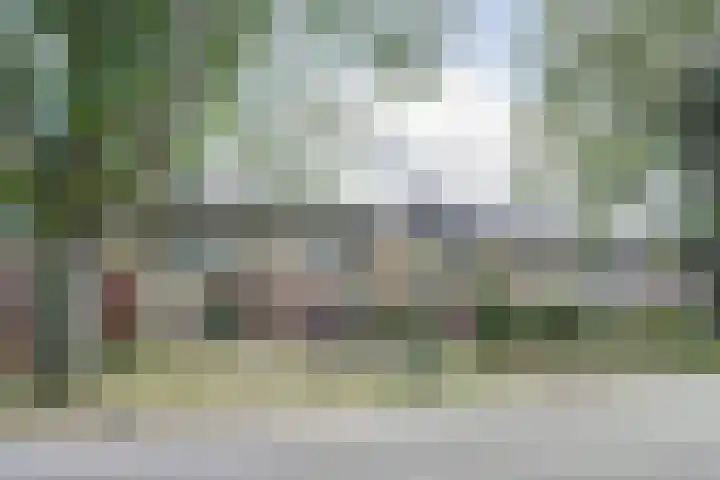 Hertogshoef 118 Raamsdonksveer thumbnail 35