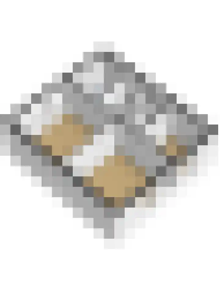 Hertogshoef 118 Raamsdonksveer thumbnail 42