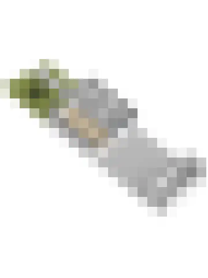 Hertogshoef 118 Raamsdonksveer thumbnail 44