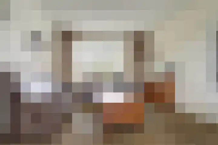 Hertogshoef 118 Raamsdonksveer thumbnail 6