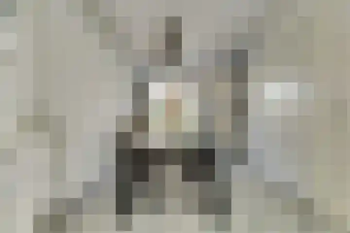 Hertogshoef 12 Raamsdonksveer thumbnail 10