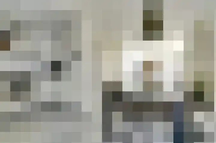 Hertogshoef 12 Raamsdonksveer thumbnail 11