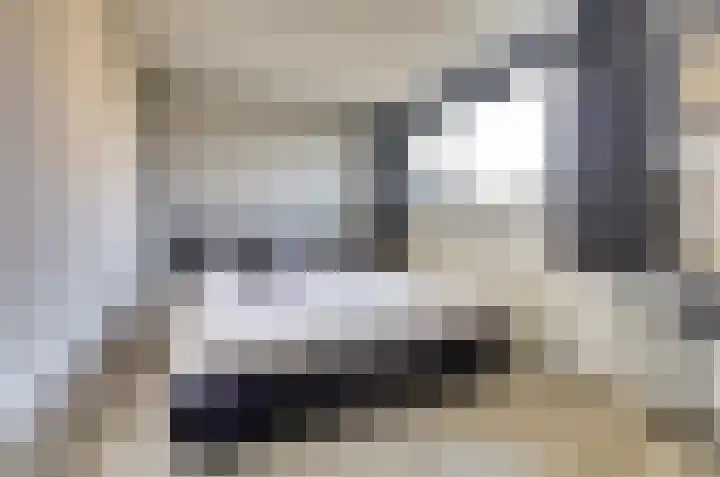 Hertogshoef 12 Raamsdonksveer thumbnail 14