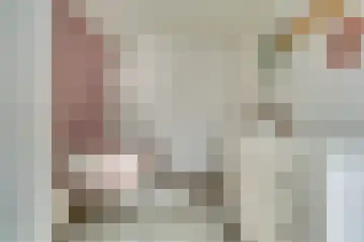 Hertogshoef 12 Raamsdonksveer thumbnail 19