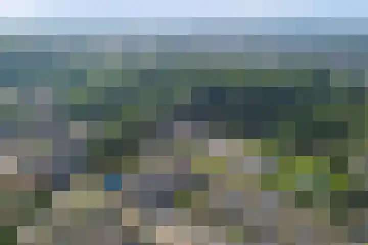 Hertogshoef 12 Raamsdonksveer thumbnail 29