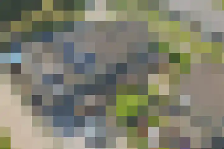 Hertogshoef 12 Raamsdonksveer thumbnail 30