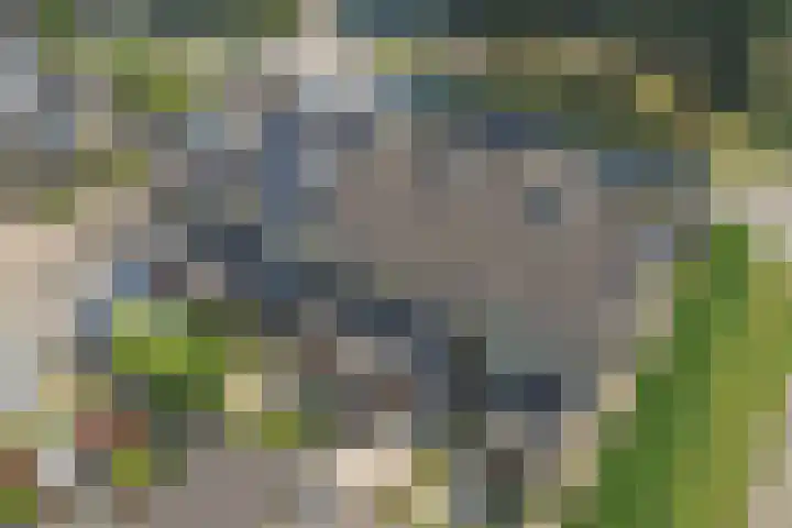Hertogshoef 12 Raamsdonksveer thumbnail 31