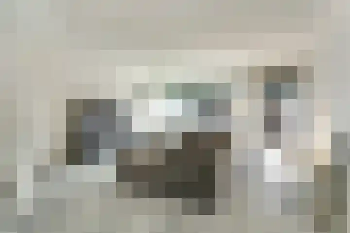 Hertogshoef 12 Raamsdonksveer thumbnail 6