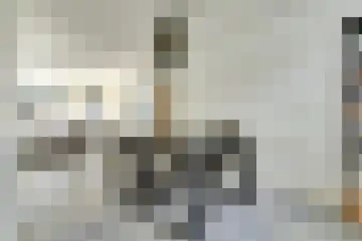 Hertogshoef 12 Raamsdonksveer thumbnail 8