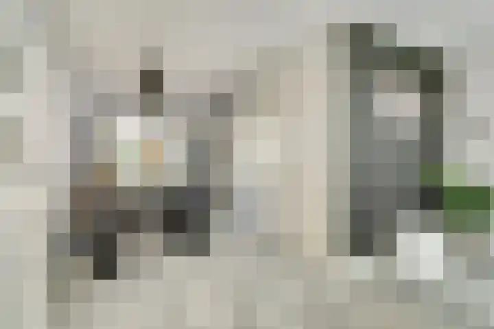 Hertogshoef 12 Raamsdonksveer thumbnail 9