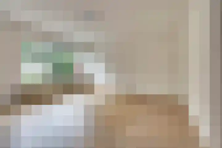 Hertogshoef 13 Raamsdonksveer thumbnail 10