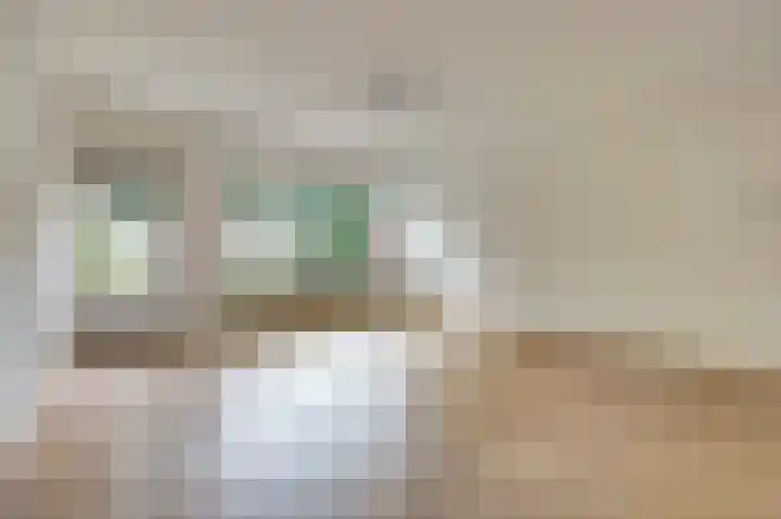 Hertogshoef 13 Raamsdonksveer thumbnail 11