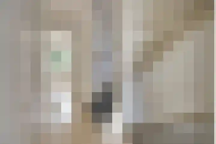 Hertogshoef 13 Raamsdonksveer thumbnail 17
