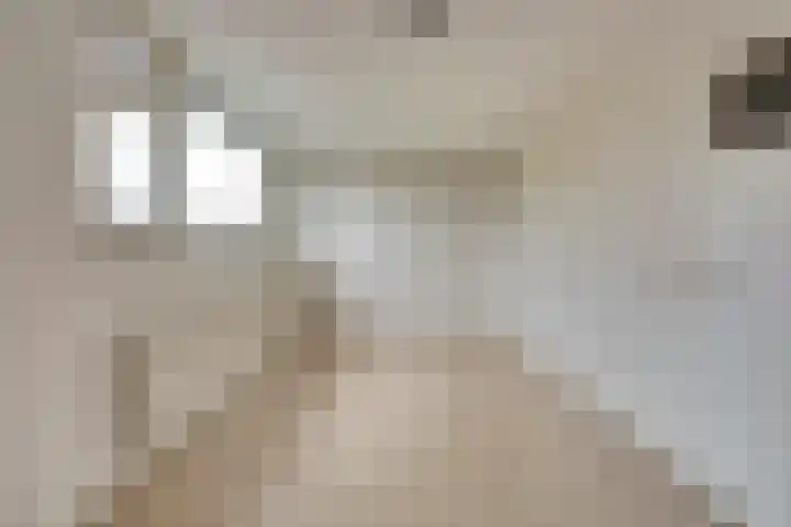 Hertogshoef 13 Raamsdonksveer thumbnail 19