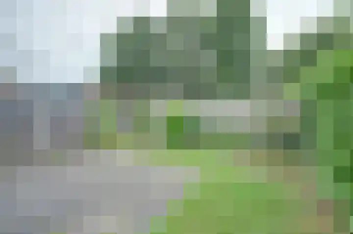 Hertogshoef 13 Raamsdonksveer thumbnail 29