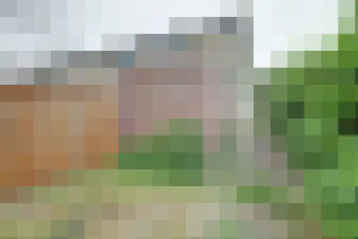 Hertogshoef 13 Raamsdonksveer thumbnail 33