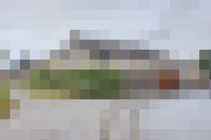 Hertogshoef 13 Raamsdonksveer thumbnail 34