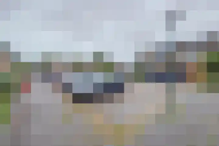 Hertogshoef 13 Raamsdonksveer thumbnail 35