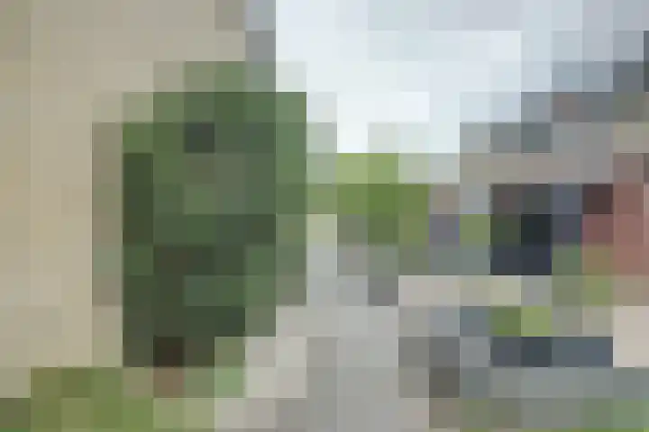 Hertogshoef 13 Raamsdonksveer thumbnail 36