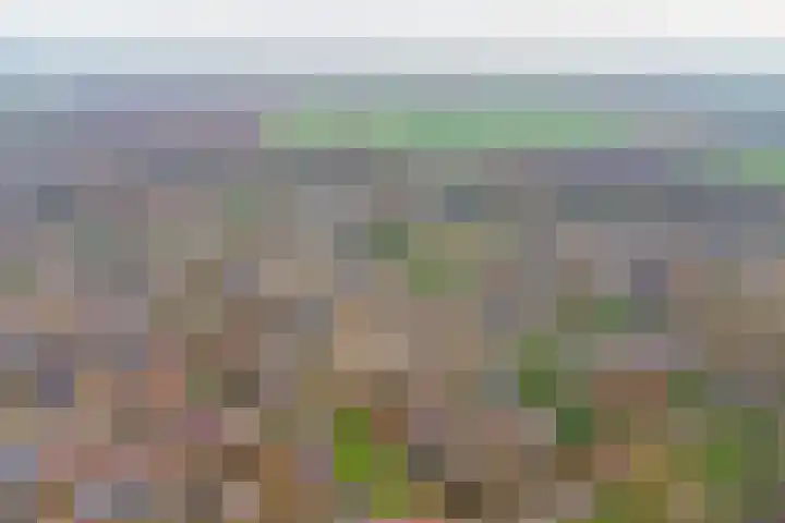 Hertogshoef 13 Raamsdonksveer thumbnail 38