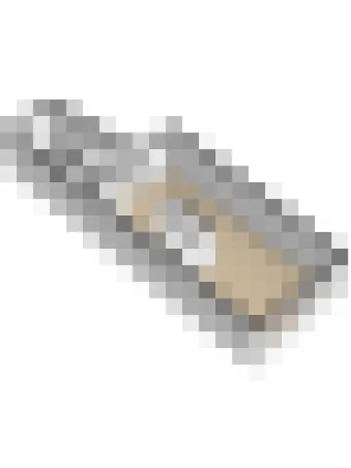 Hertogshoef 13 Raamsdonksveer thumbnail 40