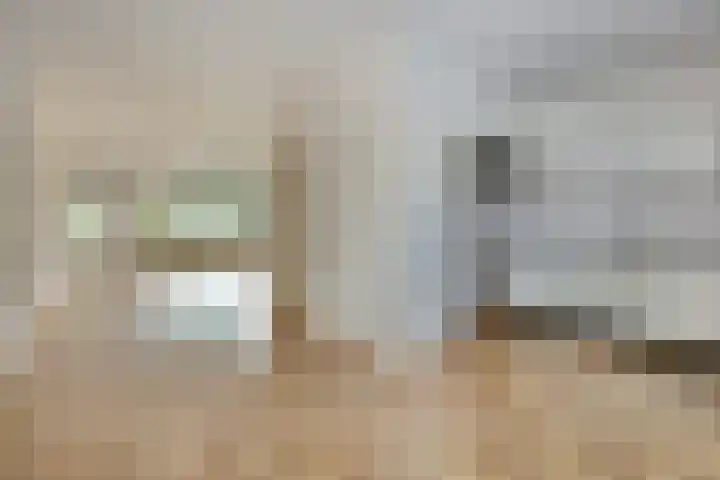 Hertogshoef 13 Raamsdonksveer thumbnail 8