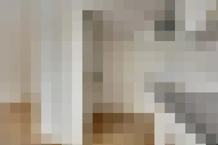 Hertogshoef 13 Raamsdonksveer thumbnail 9