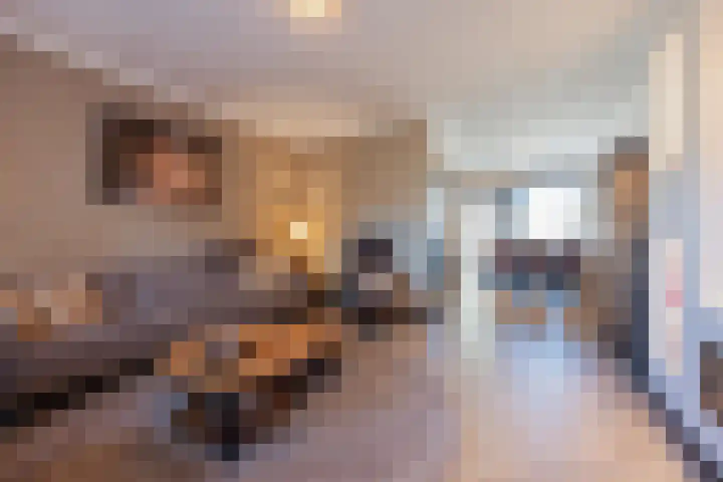 Hertogshoef 20 Raamsdonksveer thumbnail 19