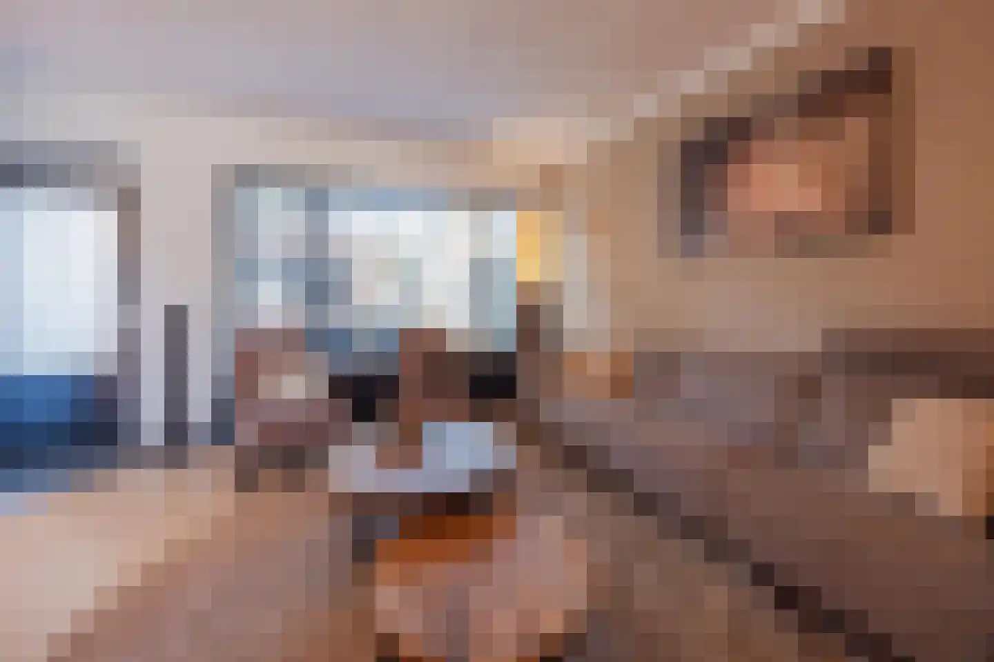 Hertogshoef 20 Raamsdonksveer thumbnail 21