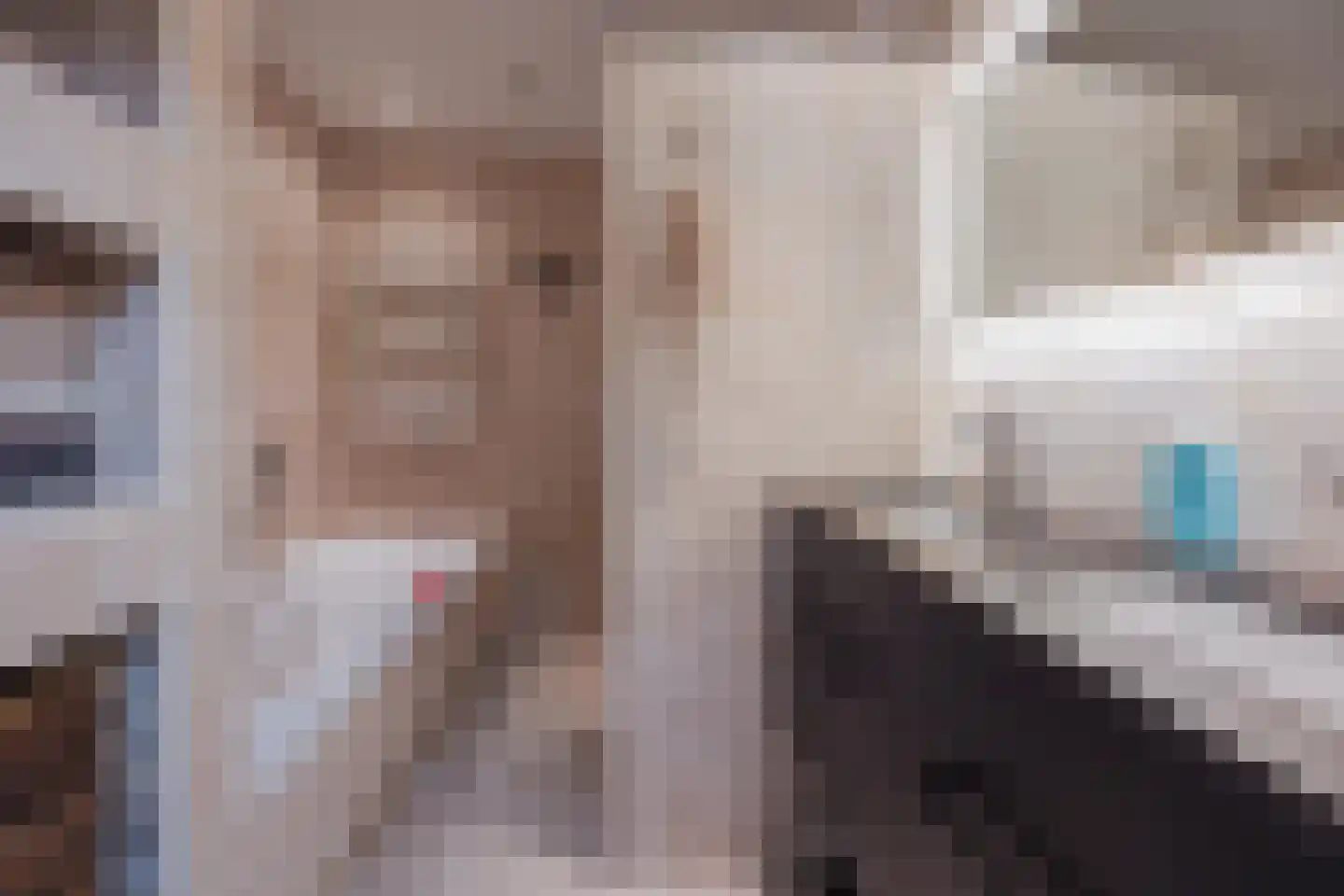Hertogshoef 20 Raamsdonksveer thumbnail 31