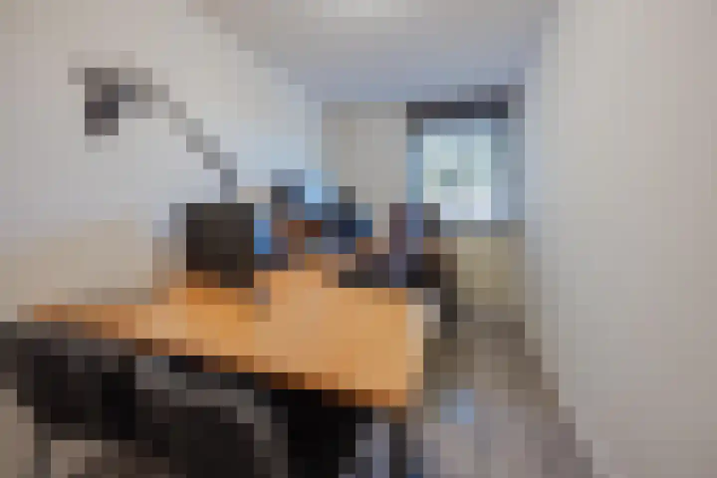 Hertogshoef 20 Raamsdonksveer thumbnail 36