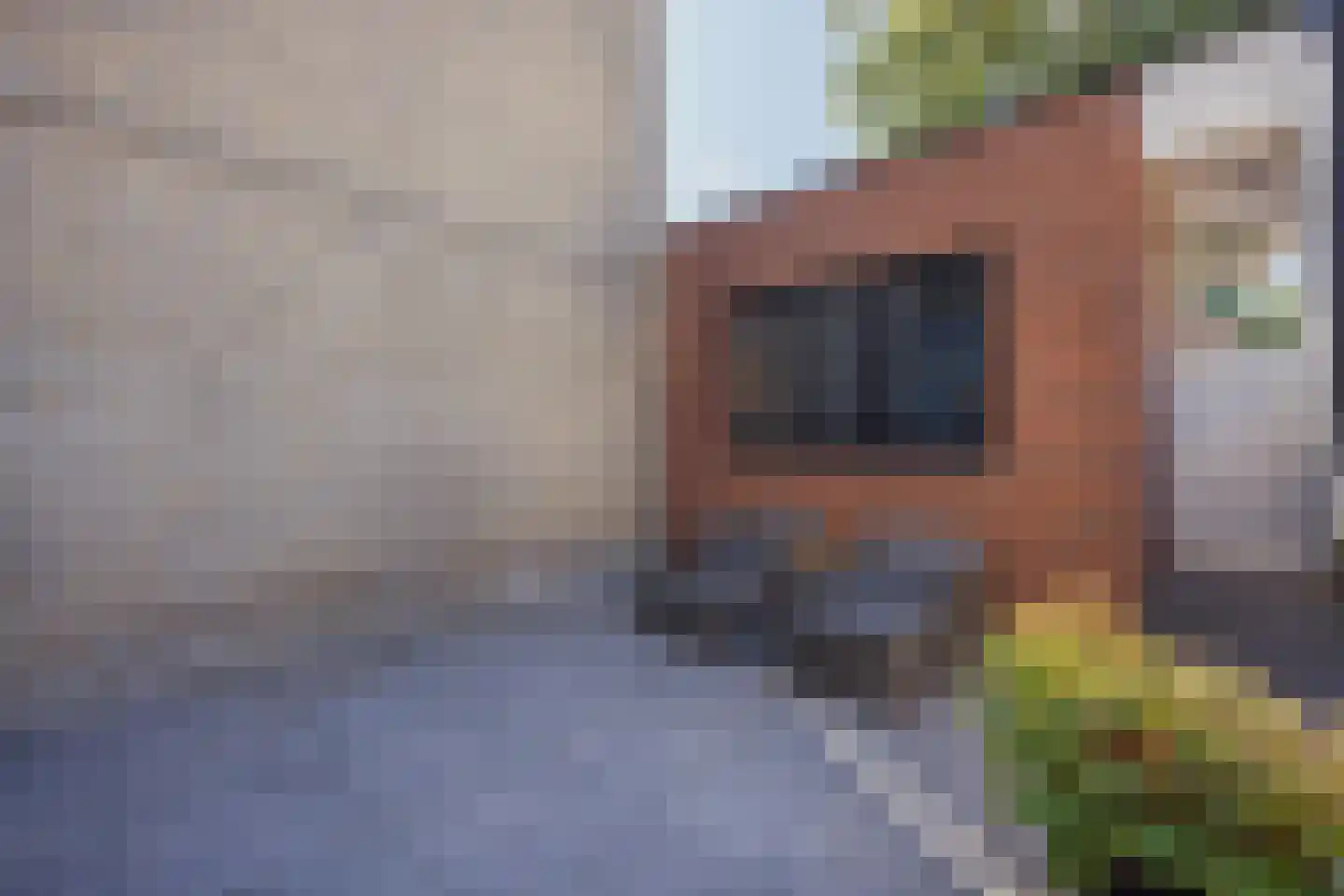 Hertogshoef 20 Raamsdonksveer thumbnail 45