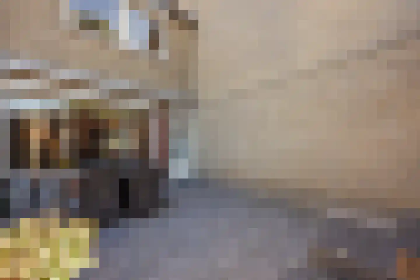 Hertogshoef 20 Raamsdonksveer thumbnail 47