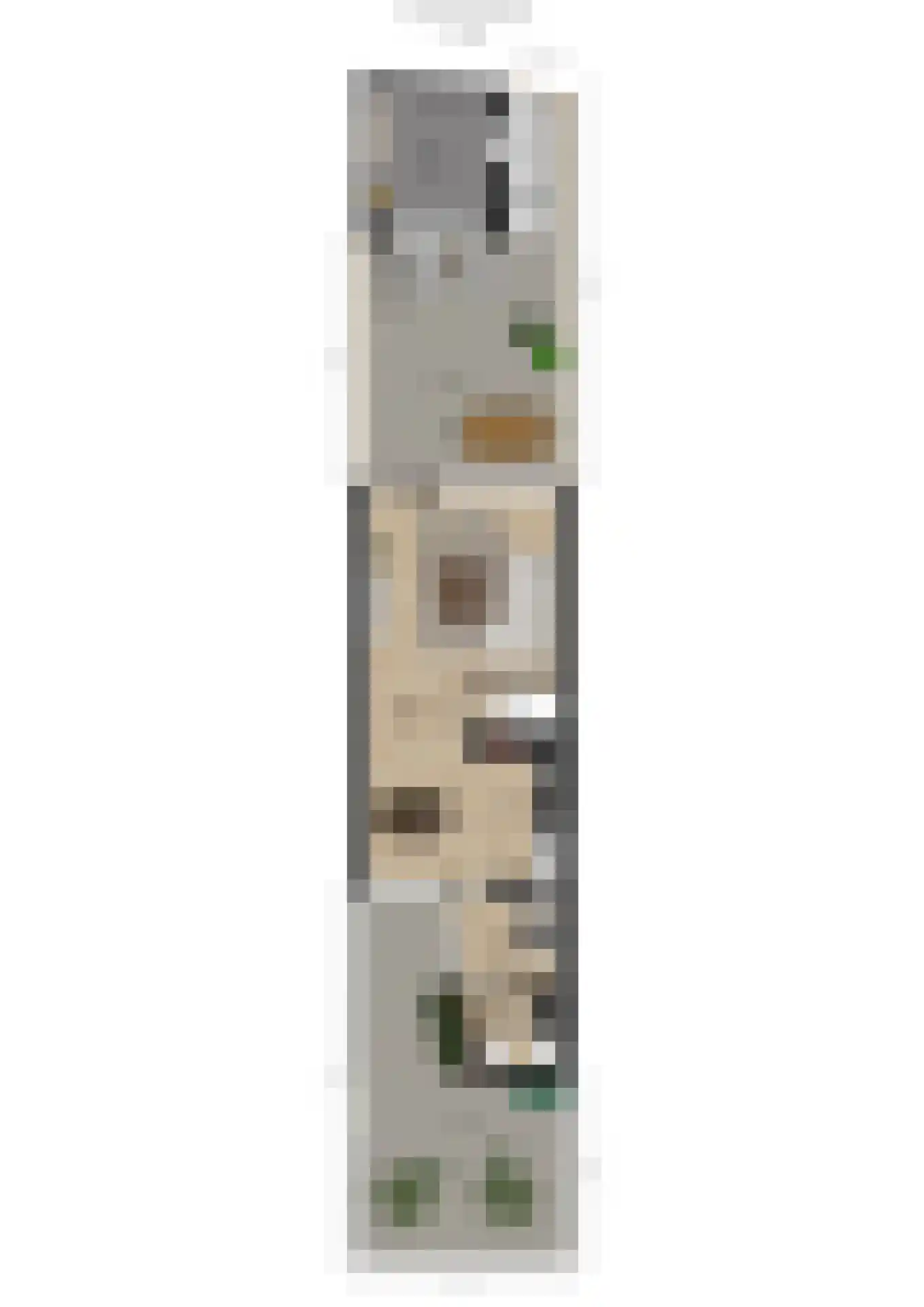 Hertogshoef 20 Raamsdonksveer thumbnail 53