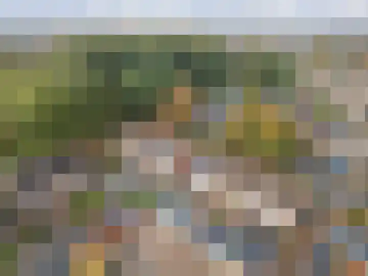 Hertogshoef 205 Raamsdonksveer thumbnail 10