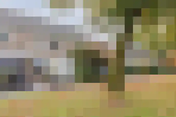 Hertogshoef 205 Raamsdonksveer thumbnail 11