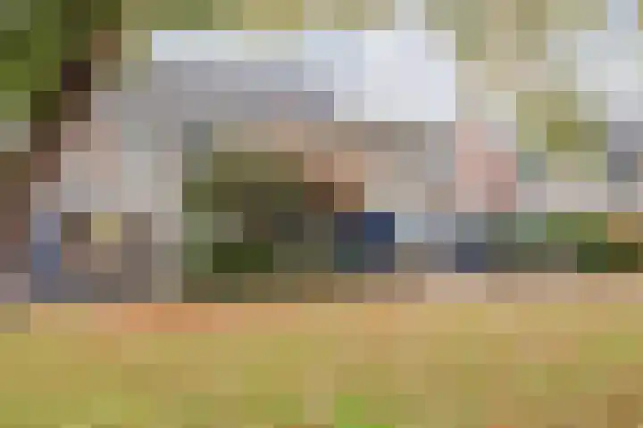 Hertogshoef 205 Raamsdonksveer thumbnail 12