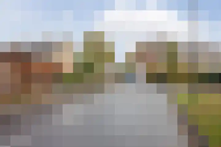 Hertogshoef 205 Raamsdonksveer thumbnail 13