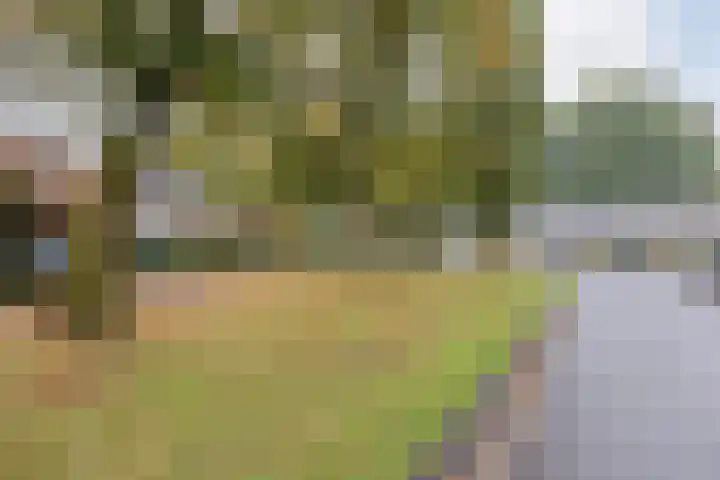 Hertogshoef 205 Raamsdonksveer thumbnail 14