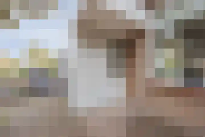 Hertogshoef 205 Raamsdonksveer thumbnail 15