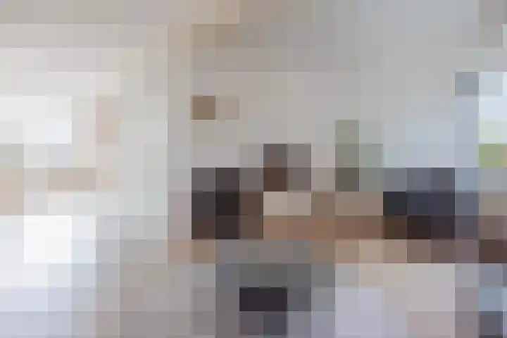 Hertogshoef 205 Raamsdonksveer thumbnail 20