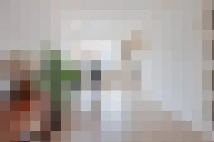 Hertogshoef 205 Raamsdonksveer thumbnail 23