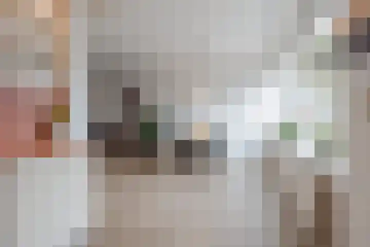 Hertogshoef 205 Raamsdonksveer thumbnail 29