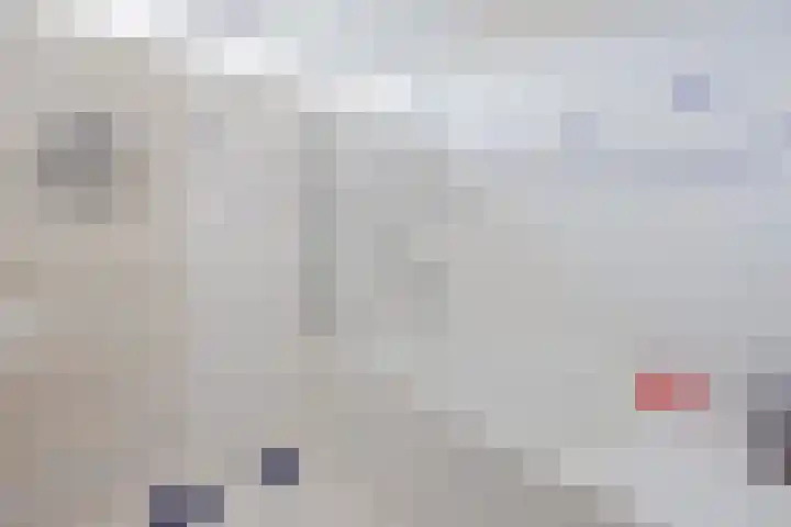Hertogshoef 205 Raamsdonksveer thumbnail 36