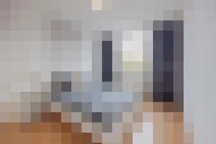 Hertogshoef 205 Raamsdonksveer thumbnail 37