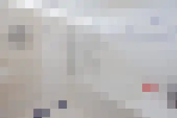 Hertogshoef 205 Raamsdonksveer thumbnail 4